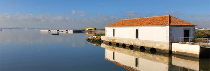 Tours Náuticos de Cascais ao Seixal - passeios privados com a duração de 5:30 horas